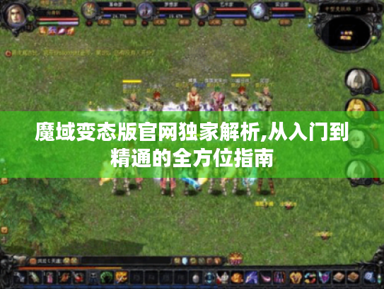 魔域变态版官网独家解析,从入门到精通的全方位指南 魔域变态版官网独家解析,从入门到精通的全方位指南