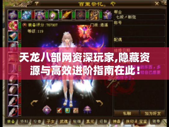 天龙八部网资深玩家,隐藏资源与高效进阶指南在此！