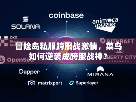 冒险岛私服跨服战激情，菜鸟如何逆袭成跨服战神？