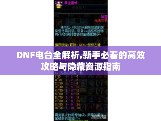 DNF电台全解析,新手必看的高效攻略与隐藏资源指南