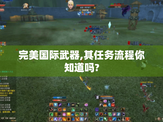 完美国际武器,其任务流程你知道吗?