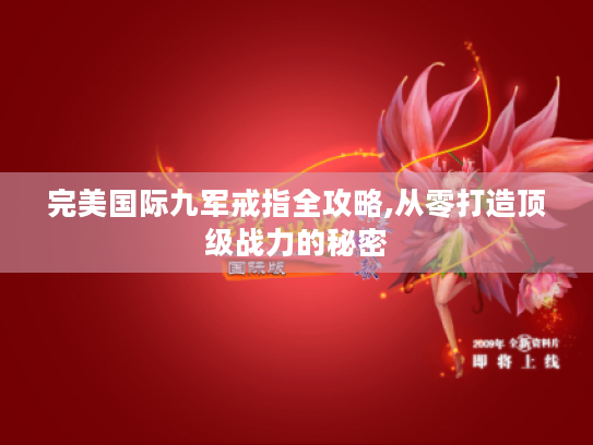 完美国际九军戒指全攻略,从零打造顶级战力的秘密 完美国际九军戒指全攻略,从零打造顶级战力的秘密