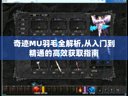 奇迹MU羽毛全解析,从入门到精通的高效获取指南 奇迹MU羽毛全解析,从入门到精通的高效获取指南