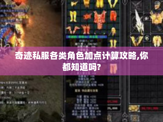 奇迹私服各类角色加点计算攻略,你都知道吗? 奇迹私服各类角色加点计算攻略,你都知道吗?