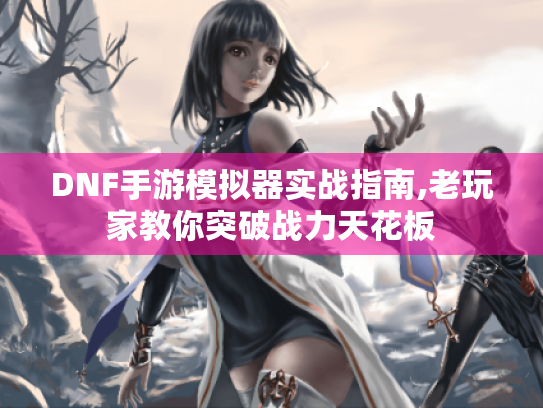 DNF手游模拟器实战指南,老玩家教你突破战力天花板 DNF手游模拟器实战指南,老玩家教你突破战力天花板