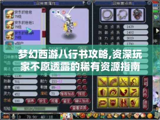 梦幻西游八行书攻略,资深玩家不愿透露的稀有资源指南 梦幻西游八行书攻略,资深玩家不愿透露的稀有资源指南