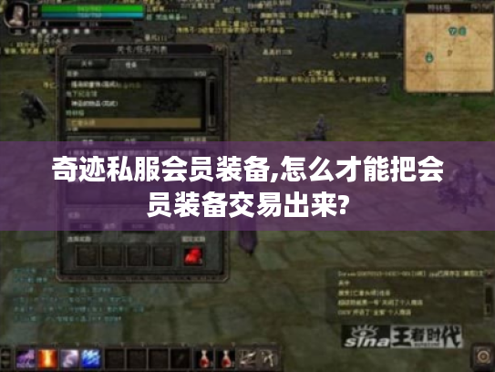 奇迹私服会员装备,怎么才能把会员装备交易出来? 奇迹私服会员装备,怎么才能把会员装备交易出来?