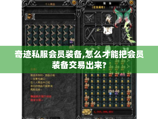 奇迹私服会员装备,怎么才能把会员装备交易出来? 奇迹私服会员装备,怎么才能把会员装备交易出来?