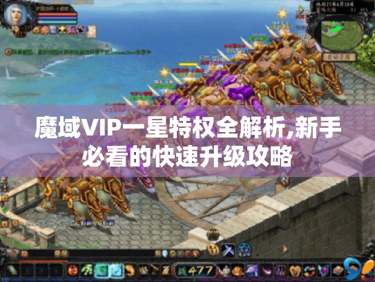 魔域VIP一星特权全解析,新手必看的快速升级攻略 魔域VIP一星特权全解析,新手必看的快速升级攻略