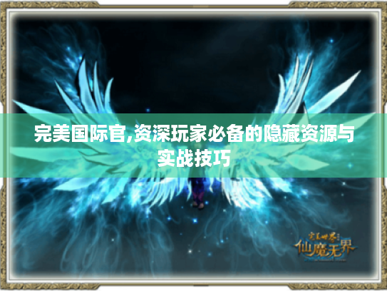 完美国际官,资深玩家必备的隐藏资源与实战技巧 完美国际官,资深玩家必备的隐藏资源与实战技巧