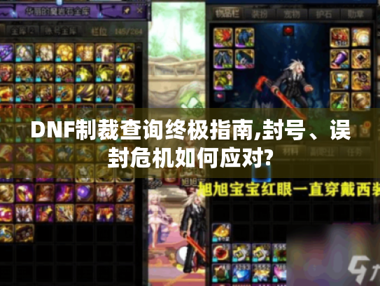 DNF制裁查询终极指南,封号、误封危机如何应对? DNF制裁查询终极指南,封号、误封危机如何应对?