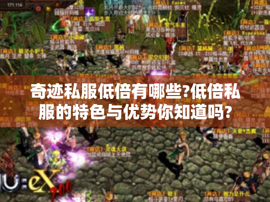 奇迹私服低倍有哪些?低倍私服的特色与优势你知道吗? 奇迹私服低倍有哪些?低倍私服的特色与优势你知道吗?