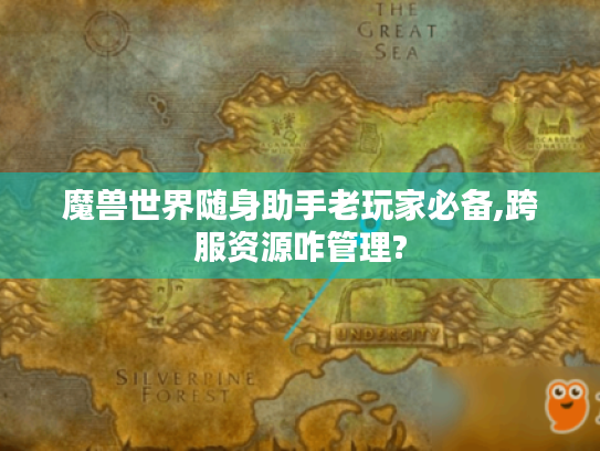 魔兽世界随身助手老玩家必备,跨服资源咋管理? 魔兽世界随身助手老玩家必备,跨服资源咋管理?