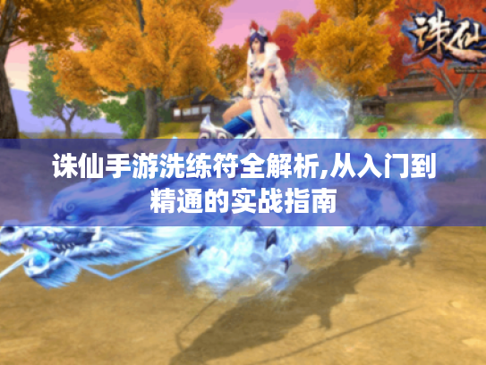 诛仙手游洗练符全解析,从入门到精通的实战指南 诛仙手游洗练符全解析,从入门到精通的实战指南