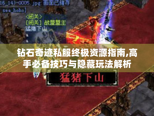 钻石奇迹私服终极资源指南,高手必备技巧与隐藏玩法解析 钻石奇迹私服终极资源指南,高手必备技巧与隐藏玩法解析