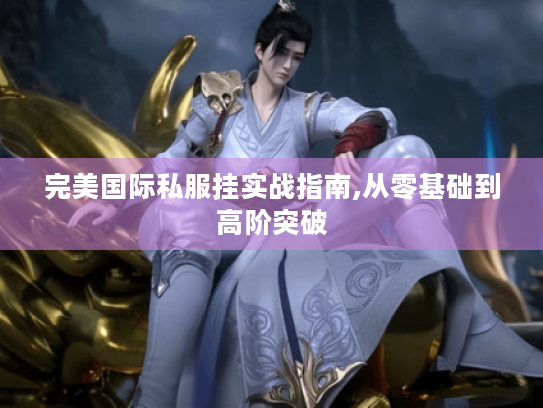 完美国际私服挂实战指南,从零基础到高阶突破 完美国际私服挂实战指南,从零基础到高阶突破