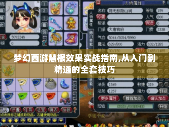 梦幻西游慧根效果实战指南,从入门到精通的全套技巧 梦幻西游慧根效果实战指南,从入门到精通的全套技巧