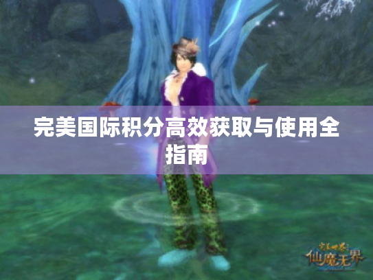完美国际积分高效获取与使用全指南