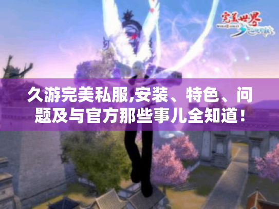 久游完美私服,安装、特色、问题及与官方那些事儿全知道! 久游完美私服,安装、特色、问题及与官方那些事儿全知道!