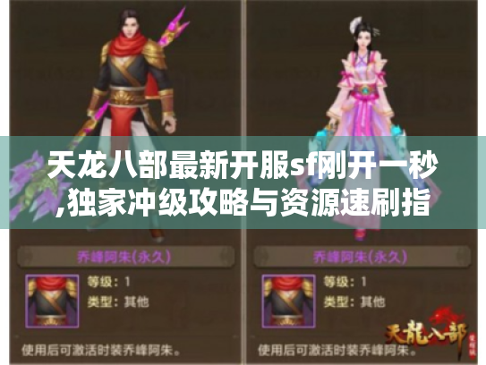 天龙八部最新开服sf刚开一秒,独家冲级攻略与资源速刷指南