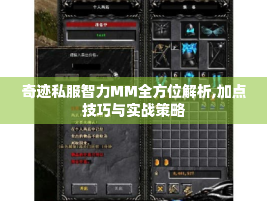 奇迹私服智力MM全方位解析,加点技巧与实战策略 奇迹私服智力MM全方位解析,加点技巧与实战策略