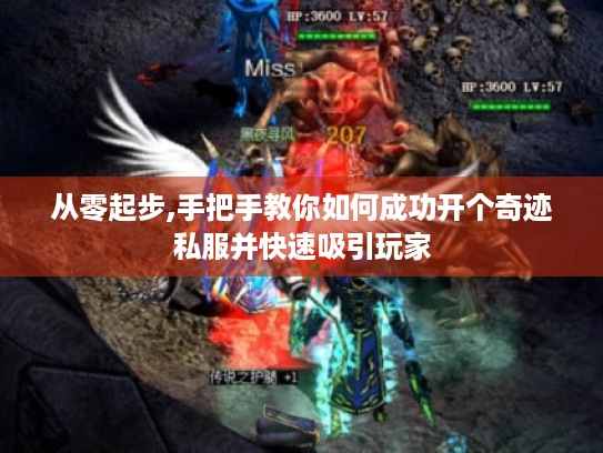 从零起步,手把手教你如何成功开个奇迹私服并快速吸引玩家 从零起步,手把手教你如何成功开个奇迹私服并快速吸引玩家