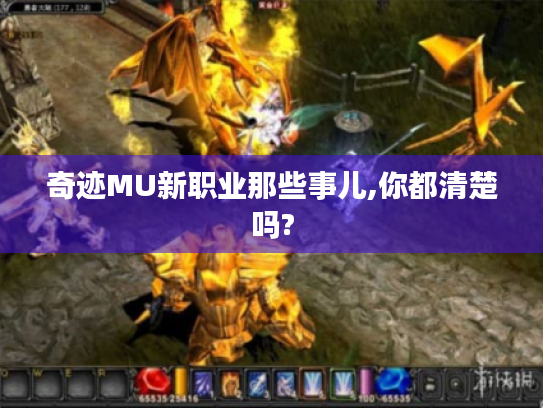 奇迹MU新职业那些事儿,你都清楚吗? 奇迹MU新职业那些事儿,你都清楚吗?