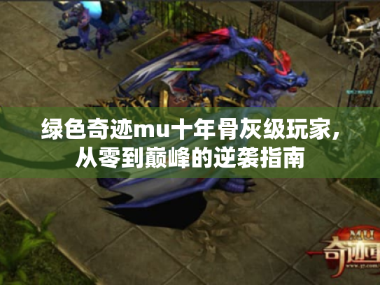 绿色奇迹mu十年骨灰级玩家,从零到巅峰的逆袭指南 绿色奇迹mu十年骨灰级玩家,从零到巅峰的逆袭指南