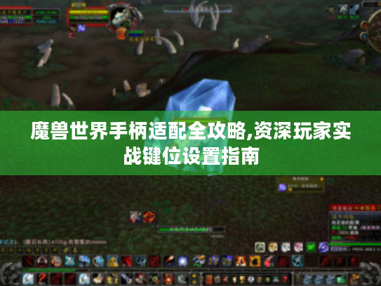 魔兽世界手柄适配全攻略,资深玩家实战键位设置指南 魔兽世界手柄适配全攻略,资深玩家实战键位设置指南