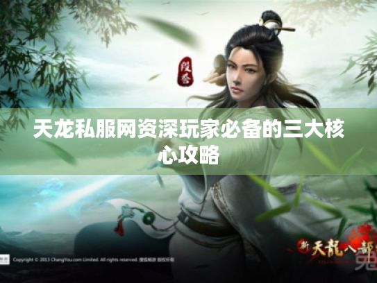 天龙私服网资深玩家必备的三大核心攻略 天龙私服网资深玩家必备的三大核心攻略
