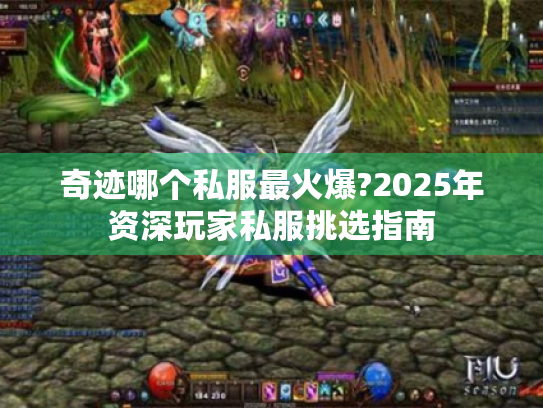 奇迹哪个私服最火爆?2025年资深玩家私服挑选指南 奇迹哪个私服最火爆?2025年资深玩家私服挑选指南