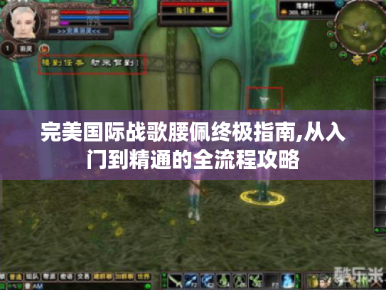 完美国际战歌腰佩终极指南,从入门到精通的全流程攻略 完美国际战歌腰佩终极指南,从入门到精通的全流程攻略