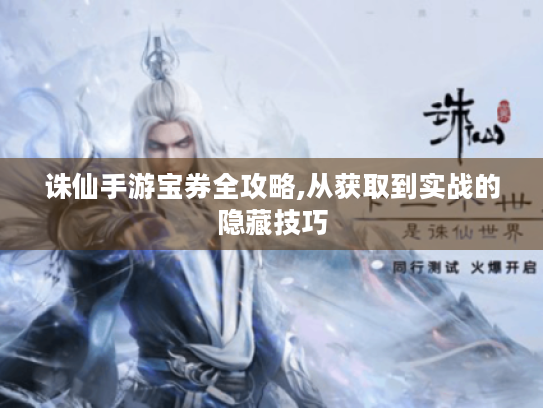 诛仙手游宝券全攻略,从获取到实战的隐藏技巧 诛仙手游宝券全攻略,从获取到实战的隐藏技巧