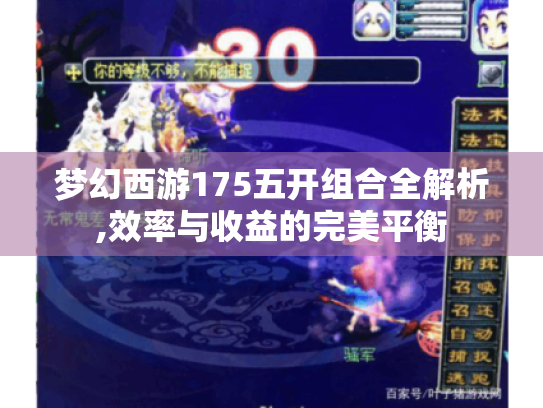 梦幻西游175五开组合全解析,效率与收益的完美平衡 梦幻西游175五开组合全解析,效率与收益的完美平衡
