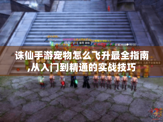 诛仙手游宠物怎么飞升最全指南,从入门到精通的实战技巧 诛仙手游宠物怎么飞升最全指南,从入门到精通的实战技巧