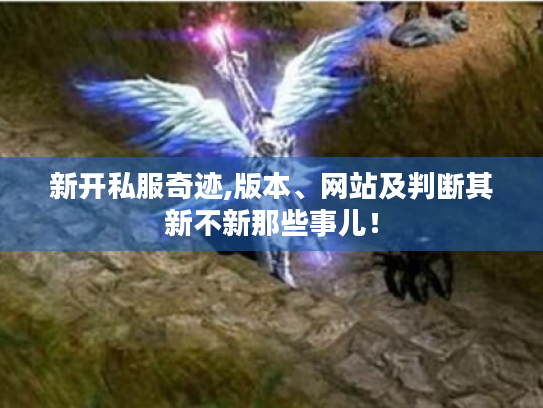 新开私服奇迹,版本、网站及判断其新不新那些事儿! 新开私服奇迹,版本、网站及判断其新不新那些事儿!