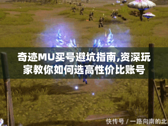 奇迹MU买号避坑指南,资深玩家教你如何选高性价比账号 奇迹MU买号避坑指南,资深玩家教你如何选高性价比账号