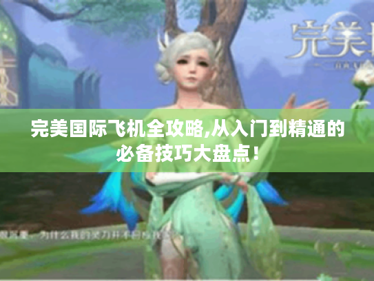完美国际飞机全攻略,从入门到精通的必备技巧大盘点! 完美国际飞机全攻略,从入门到精通的必备技巧大盘点!