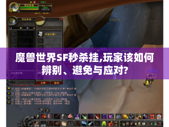 魔兽世界SF秒杀挂,玩家该如何辨别、避免与应对? 魔兽世界SF秒杀挂,玩家该如何辨别、避免与应对?