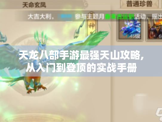 天龙八部手游最强天山攻略,从入门到登顶的实战手册 天龙八部手游最强天山攻略,从入门到登顶的实战手册