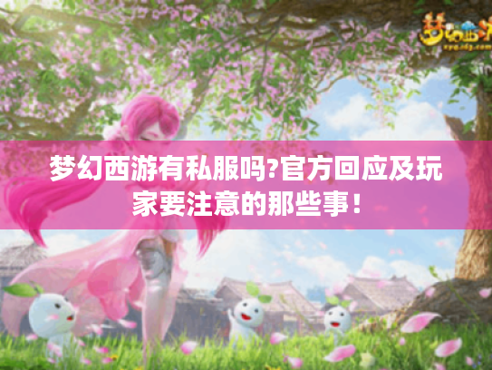 梦幻西游有私服吗?官方回应及玩家要注意的那些事! 梦幻西游有私服吗?官方回应及玩家要注意的那些事!