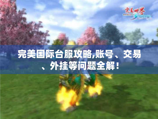 完美国际台服攻略,账号、交易、外挂等问题全解! 完美国际台服攻略,账号、交易、外挂等问题全解!