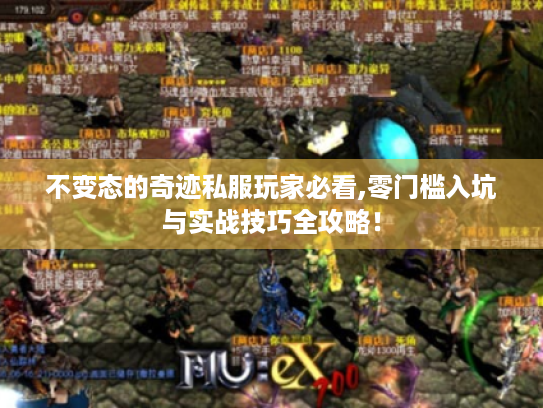 不变态的奇迹私服玩家必看,零门槛入坑与实战技巧全攻略！