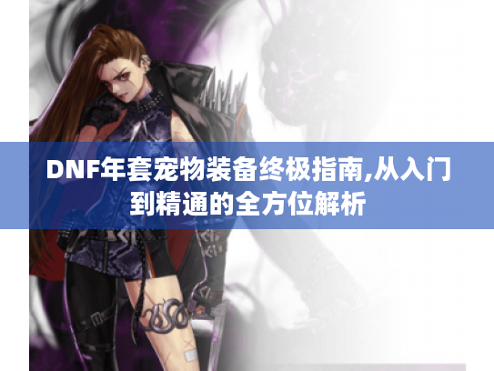 DNF年套宠物装备终极指南,从入门到精通的全方位解析 DNF年套宠物装备终极指南,从入门到精通的全方位解析