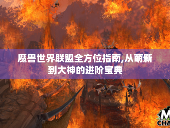 魔兽世界联盟全方位指南,从萌新到大神的进阶宝典 魔兽世界联盟全方位指南,从萌新到大神的进阶宝典