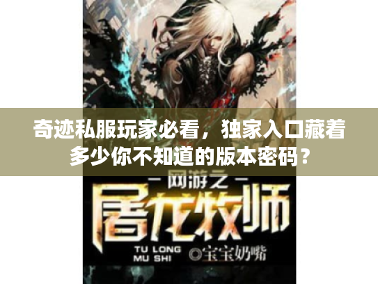 奇迹私服玩家必看,独家入口藏着多少你不知道的版本密码? 奇迹私服玩家必看,独家入口藏着多少你不知道的版本密码?