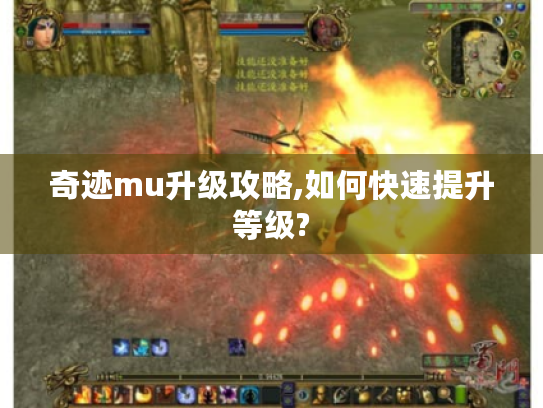 奇迹mu升级攻略,如何快速提升等级? 奇迹mu升级攻略,如何快速提升等级?