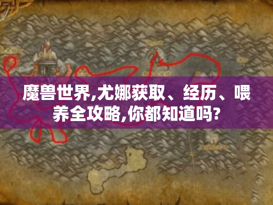 魔兽世界,尤娜获取、经历、喂养全攻略,你都知道吗? 魔兽世界,尤娜获取、经历、喂养全攻略,你都知道吗?