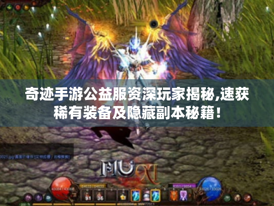 奇迹手游公益服资深玩家揭秘,速获稀有装备及隐藏副本秘籍! 奇迹手游公益服资深玩家揭秘,速获稀有装备及隐藏副本秘籍!