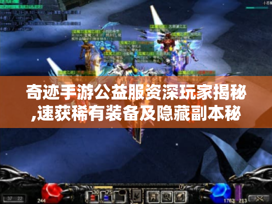 奇迹手游公益服资深玩家揭秘,速获稀有装备及隐藏副本秘籍! 奇迹手游公益服资深玩家揭秘,速获稀有装备及隐藏副本秘籍!